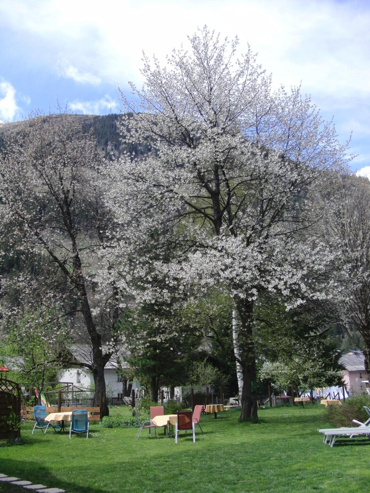 באד גסטיין Grubers, Hotel Appartments Gastein מראה חיצוני תמונה